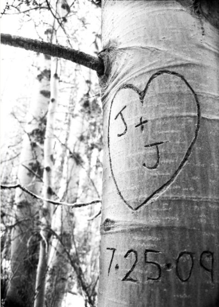 Save the date foto incisione albero